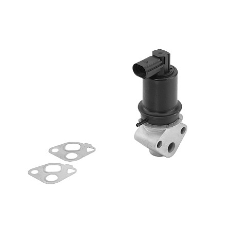 Supapa EGR Valva EGR AUDI A2 SEAT AROSA CORDOBA CORDOBA VARIO IBIZA III INCA LEON TOLEDO II SKODA FABIA I OCTAVIA I VW BORA BORA I CADDY II CADDY II/MINIVAN 1.4/1.6 09.96-12.10 WAHLER WA710778D/1