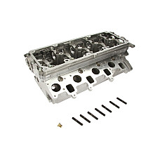 Chiulasa Chiuloasa AUDI A3 A4 ALLROAD B8 A4 B8 A5 A6 C6 Q5 TT SEAT ALTEA ALTEA XL EXEO EXEO ST LEON TOLEDO III SKODA OCTAVIA II SUPERB II YETI VW BEETLE EOS 2.0D 05.03- AMC AMC908700