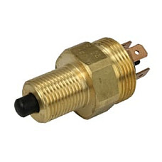 Sensor/Relayer DEUTZ FAHR 5000, 6000, ACTOR, ECTRON, POWERLINER, STARLINER (M), TOPLINER (4000) - PNEUTRON 01601001XX