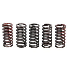 Set arcuri ambreiaj TRW MEF328-5