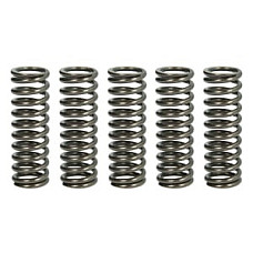 Set arcuri ambreiaj TRW MEF319-5