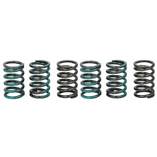 Set arcuri ambreiaj TRW MEF333-6