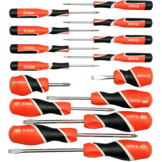 YT-25981 Set 15 Surubelnite