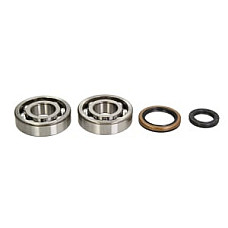 Set rulmenti arbore cotit cu garnituri SUZUKI RM-X 250 1995-1999 4RIDE AB24-1060
