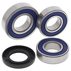 Set rulmenti spate cu garnituri KTM DUKE 690 2014-2017 4RIDE AB25-1706