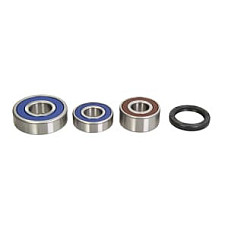Set rulmenti spate cu garnituri TRIUMPH ROCKET 2300 2004-2016 4RIDE AB25-1588