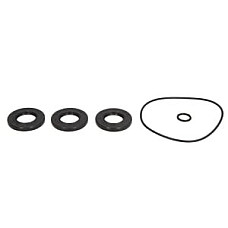 Set simeringuri ambreiaj POLARIS SCRAMBLER 400 1998-1999 4RIDE AB25-7105