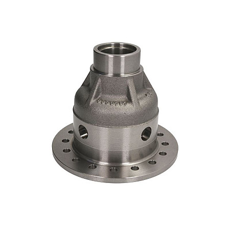 Carcasa, diferential Differential housing EURORICAMBI 30170474