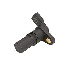 Senzor impulsuri, arbore cotit Senzor pozitie arbore cotit DACIA DOKKER DOKKER EXPRESS/MINIVAN DUSTER DUSTER/SUV LODGY LOGAN LOGAN EXPRESS LOGAN II LOGAN MCV LOGAN MCV II SANDERO 0.9-3.0D 09.02- DELPHI SS11243