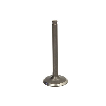 Supapa admisie Intake valve PARSUN F6-04050001