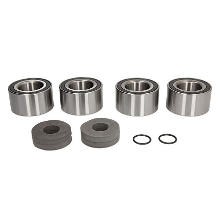 Kit rulmenti roata Wheel bearing kit rear POLARIS RANGER 500 2000-2003 PIVOT WORKS PWRWK-P22-000