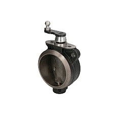 Clapeta sistem evacuare frana motor MAN TGA CZM CZM135813