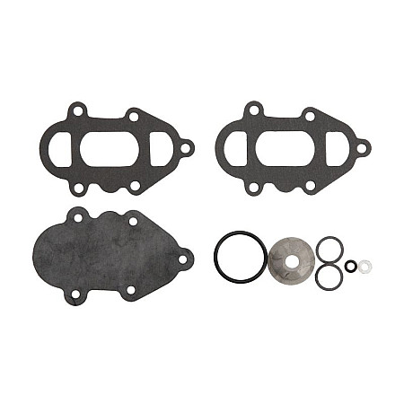 Set reparatie, pompa combustibil Fuel pump repair kit MERCURY SIERRA INTERNATONAL LLC 18-7811