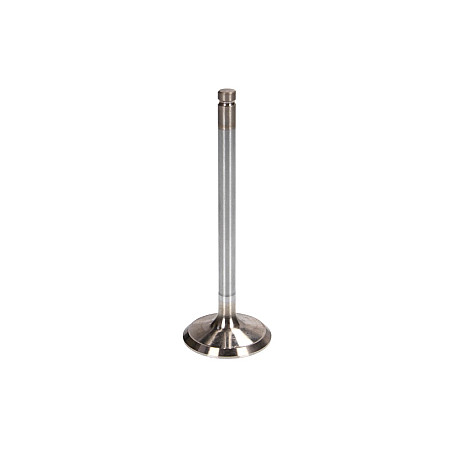 Supapa evacuare Robinet de evacuare 302x55x975 FORD FIESTA V FIESTA VI FUSION 1.4D 11.01- FRECCIA 6323/RCR