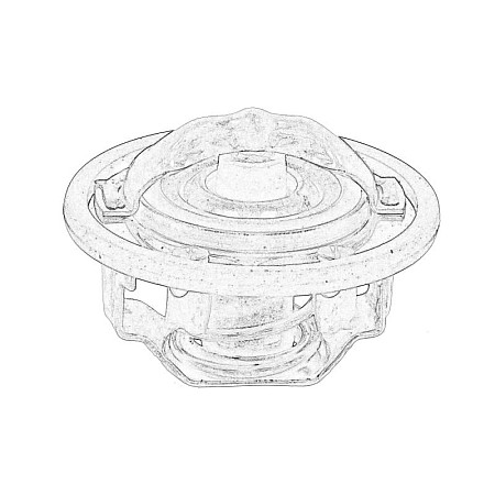 Termostat,lichid racire OE ISUZU OE ISUZU ISU8973007873