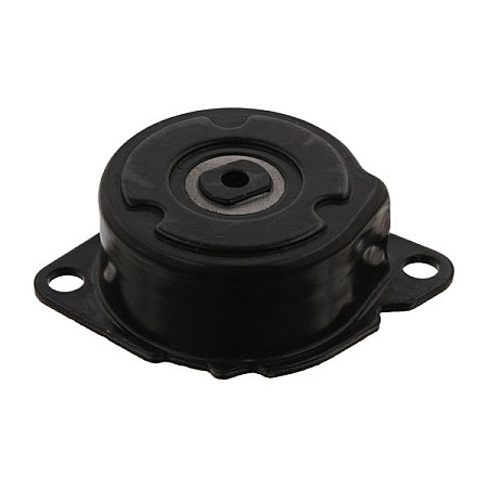 Intinzator,curea transmisie Multi-V belt tensioner BMW 3 E46 5 E60 5 E61 7 E65 E66 E67 X3 E83 X5 E53 3.0D 06.02-03.07 SWAG SW20934469