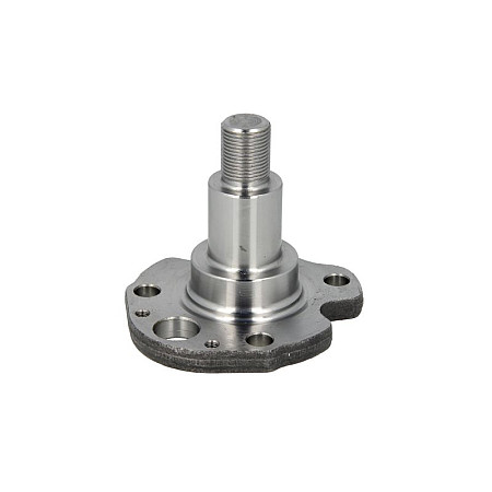 Articulatie directie, suspensie roata stecher butuc roata spate Dreapta/Stanga AUDI A3 TT SEAT INCA LEON TOLEDO II SKODA OCTAVIA I VW BORA BORA I CADDY II CADDY II/MINIVAN GOLF IV NEW BEETLE 1.4-2.8 11.95-12.13 MEYLE 100 501 0029