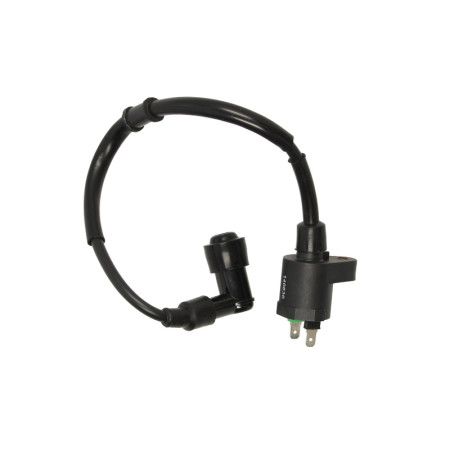 Bobina de inductie BENELLI ADIVA GILERA D.N.A FUOCO NEXUS RUNNER HONDA DYLAN GP NH PK SA SFX SGX SH SJ X8R/ SZX MALAGUTI CIAK MADISON PHANTOM MAX PEUGEOT 103 50-500 1985-2016 RMS RMS 24 601 0082