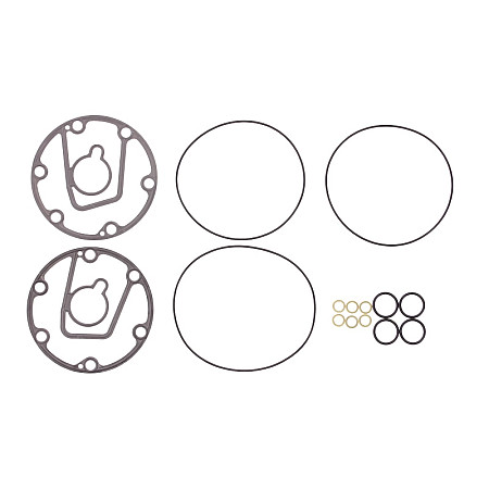 Garnitura, compresor climatizare Air conditioning assembly kit SANTECH MT2137