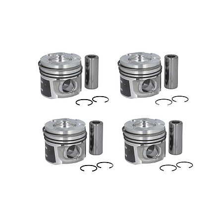 Piston 75 STD VOLVO C30 S40 II S80 II V50 V70 III CITROEN BERLINGO BERLINGO MULTISPACE BERLINGO/MINIVAN C2 C3 I C3 II C3 PICASSO C4 C4 GRAND PICASSO I C4 I 1.6D 10.03- NE 130037003100