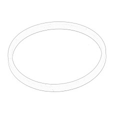 Simering, suport diuza PIERSCIEN USZCZELN OE CASE A175509-CNH