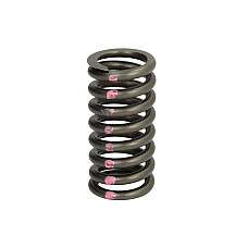 Arc supapa Valve spring CATERPILLAR 3400 SERIES IPD PARTS 4N5906-IPD