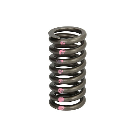 Arc supapa Valve spring CATERPILLAR 3400 SERIES IPD PARTS 4N5906-IPD