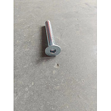 Piese si accesorii pentru elevatoare Bolt {Bolt} quantity: 1 pcs application: for lift drive-onslength: 80mm EVERT6435BWF 48 EVERT6435BWF 52 EVERT EVERTZL202111028