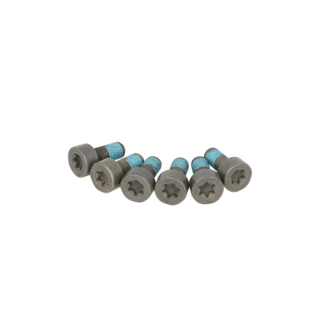 Set surub, volanta Set de suruburi volant M9x125mm lungime205mm SACHS 1874 000 004