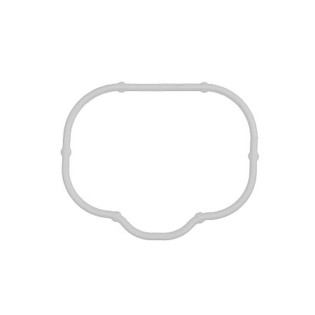 Garnitura, galerie admisie Suction manifold gasket  CHRYSLER 200 300C VOYAGER V DODGE AVENGER CHALLENGER CHARGER DURANGO GRAND JOURNEY FIAT FREEMONT JEEP CHEROKEE GRAND CHEROKEE IV 3.2-3.6LPG 09.10- CHRYSLER 05184331AC