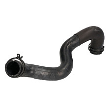 Radiator Furtun cauciuc bottom FORD FOCUS III 1.6/1.6ALK/1.6LPG 07.10- THERMOTEC DWG096TT
