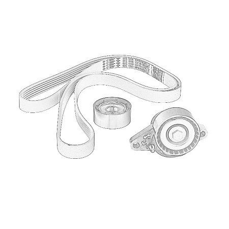 Set curea transmisie cu caneluri Kit accesorii OE RENAULT 77 01 477 527