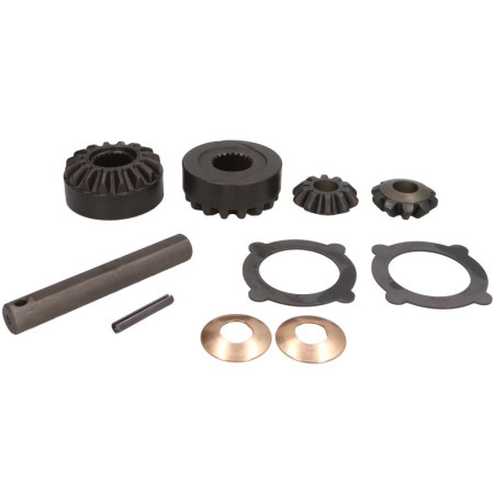 Set reparatie, diferential Differential assembly repair kit CARRARO CARRARO 66353-CR