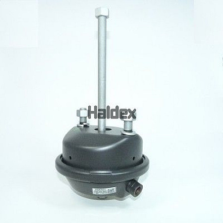 Cilindru de pretensionare Servomotor frana Spate 20 cursa: 76mm M16x15mm 210 DAF HALDEX 123200003