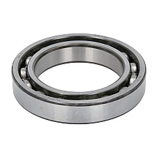 Set reparatie, diferential Differential element bearing CARRARO CARRARO 25742-CR