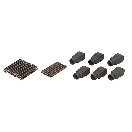 Element blocare sincron Element de blocare sincromesh set de primavara si pivot 6 buc. ZF ECOSPLIT ECOSPLIT III 16 S 151 NMW 16 S 151 WSK 16 S 221 IT 16 S 221 NMV 16 S 221 PTO 16 S 221 SFA 16 S 221 WSK 4 S-120GP C.E.I 198564