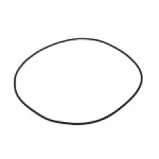 Set reparatie, diferential Differential element o-ring  DANA SPICER DANA SPICER 001.05.1119-DANA