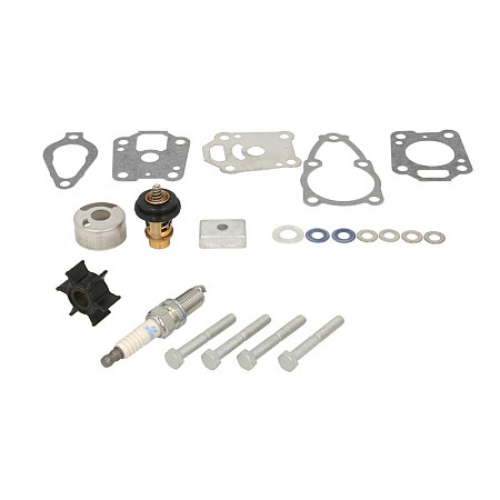 Kit de reparatie Service kit MERCURY F4/5/6HP number of hours: 300 QUICKSILVER 8M0120836