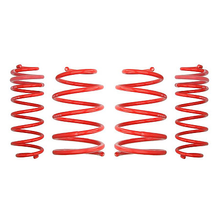Set arcuri sport Lowering spring Sportline 4pcs 40-50mm / 30mm 1020kg / 900kg PEUGEOT 307 1.4-2.0D 08.00-04.12 EIBACH E20-70-004-01-22