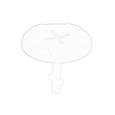 Capac inchidere, rezervorde compensare servodirectie Power steering tank cap AUDI A6 ALLROAD C6 A6 C6 05.04-08.11 OE VW 4F0 422 376