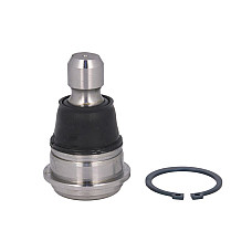 Articulatie sarcina/ghidare Pivot axa Dreapta/Stanga inferior fata NISSAN MURANO I QASHQAI I QASHQAI II X-TRAIL II X-TRAIL III RENAULT KADJAR KOLEOS I 1.2-3.5 08.03- 555 SB-4942