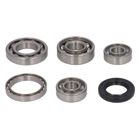 Set lagare, cutie viteze manuala Transmission repair kit HONDA TRX 250 2001-2019 HOT RODS HR00060