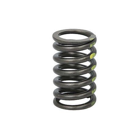 Arc supapa Valve spring FP DIESEL 3916691-FP