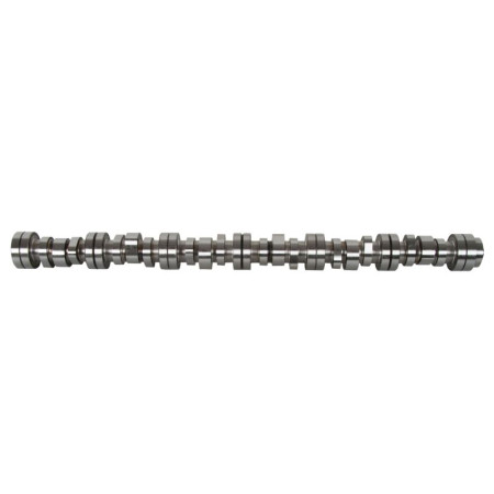 Ax cu came Arbore cu came OE GERMANY 05 0500 DC1301