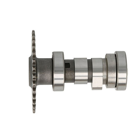 Ax cu came GY6 125 GY6 150 fits CHISKI SKUTER MOPED MOTOROWER ATV 4T INPARTS IP000472