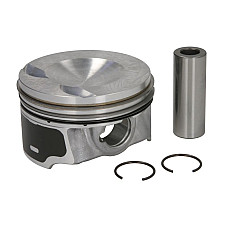 Piston 8251 STD AUDI A3 TT VW BEETLE EOS GOLF V GOLF VI JETTA III JETTA IV PASSAT B6 SCIROCCO III TIGUAN 2.0 09.04- NE 130050005100