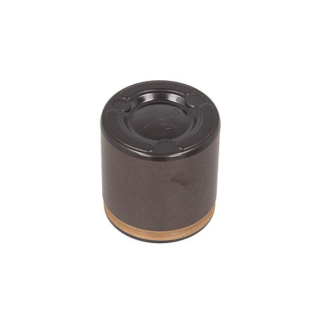 Piston, etrier frana Pistoan etrier Fata etrier cu doua pistoane  CHRYSLER TOWN &amp; COUNTRY VOYAGER V DODGE GRAND JOURNEY 3.6/3.6ALK 09.10- BBP 7943BBP
