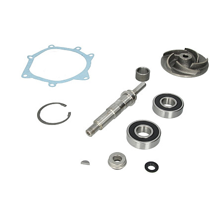 Set reparatie, pompa apa Coolant pump repair kit URSUS 3000 BROYT X CLAAS DOMINATOR SENATOR CLARK 40 HANOMAG 30 L HYSTER H JCB 800 LANDINI 10000 9000 MASSEY FERGUSON 1000 2000 300 1006-6-T6.3544 OMP OMP152.153