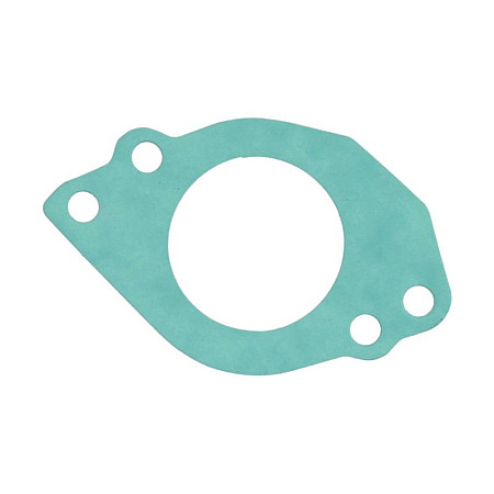 Simering, carburator Carburettor gasket BF75/BF90 1997-06 SIERRA INTERNATONAL LLC 18-2472