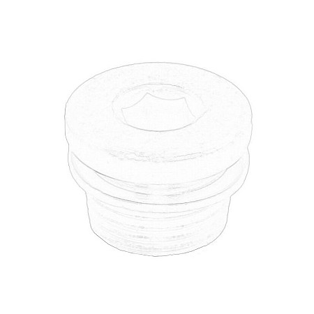 Surub de golire, baia de ulei surubul gaurii de scurgere a golului CITROEN JUMPER II FIAT DUCATO PEUGEOT BOXER 2.0D-3.0D 04.06- OE FIAT 55234829